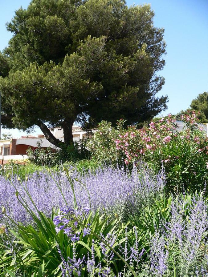 "Bien Vivre Ensemble" Aux Marches Du Soleil - Chambres Privees Chez L'Habitant Dans Appartement Partage 塞特港 外观 照片